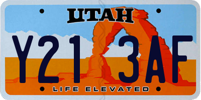 UT license plate Y213AF