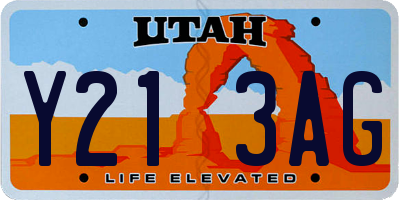 UT license plate Y213AG