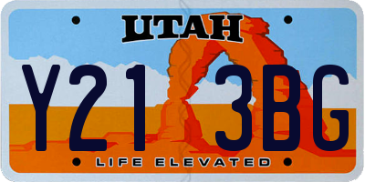 UT license plate Y213BG