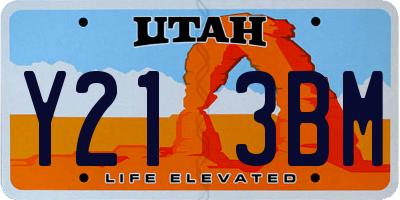 UT license plate Y213BM