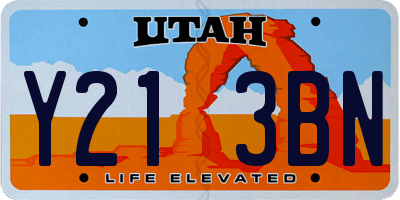 UT license plate Y213BN