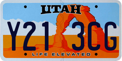 UT license plate Y213CG