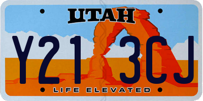 UT license plate Y213CJ