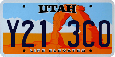 UT license plate Y213CO