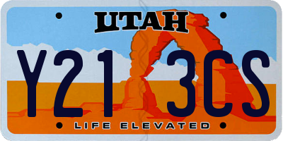 UT license plate Y213CS