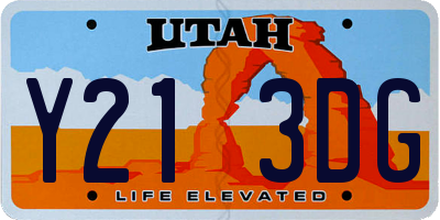 UT license plate Y213DG