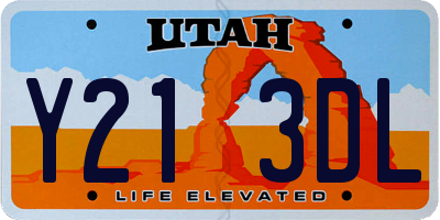 UT license plate Y213DL
