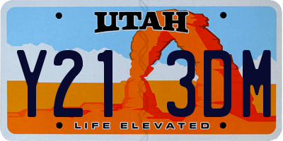 UT license plate Y213DM