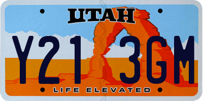 UT license plate Y213GM