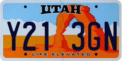 UT license plate Y213GN
