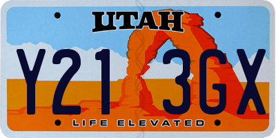 UT license plate Y213GX