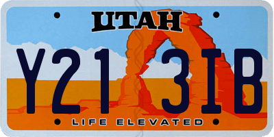 UT license plate Y213IB