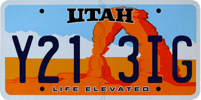 UT license plate Y213IG