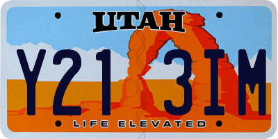 UT license plate Y213IM