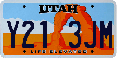 UT license plate Y213JM