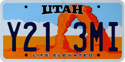 UT license plate Y213MI