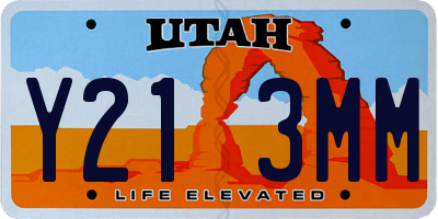 UT license plate Y213MM