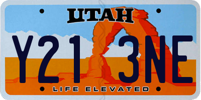 UT license plate Y213NE