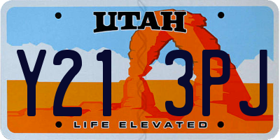 UT license plate Y213PJ