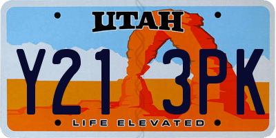 UT license plate Y213PK