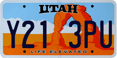UT license plate Y213PU