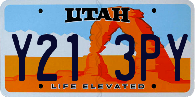 UT license plate Y213PY