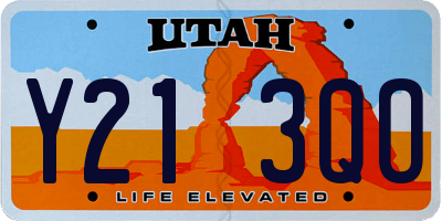 UT license plate Y213QO
