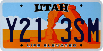 UT license plate Y213SM