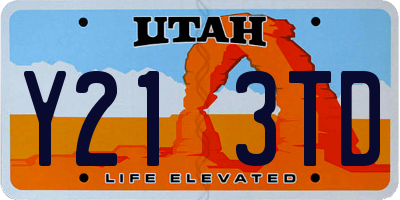 UT license plate Y213TD