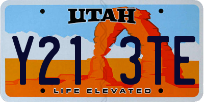 UT license plate Y213TE