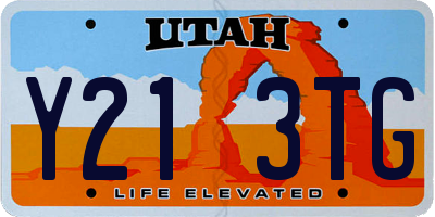 UT license plate Y213TG