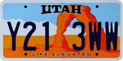 UT license plate Y213WW