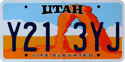 UT license plate Y213YJ