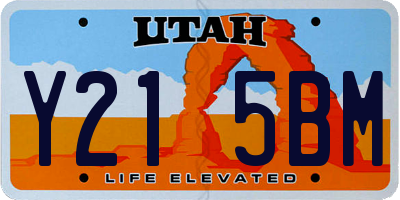 UT license plate Y215BM