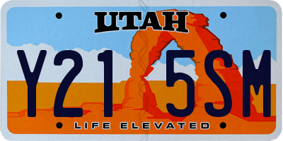 UT license plate Y215SM
