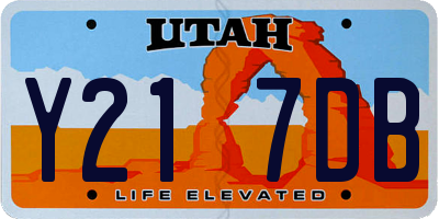 UT license plate Y217DB