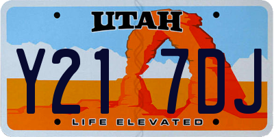 UT license plate Y217DJ