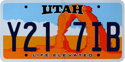 UT license plate Y217IB