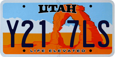 UT license plate Y217LS