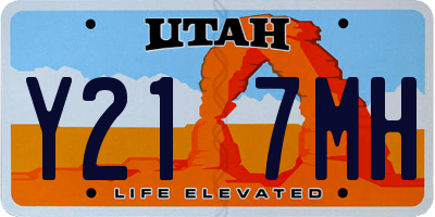 UT license plate Y217MH