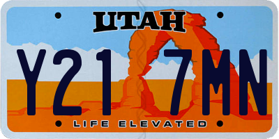 UT license plate Y217MN