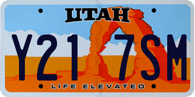 UT license plate Y217SM