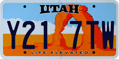 UT license plate Y217TW
