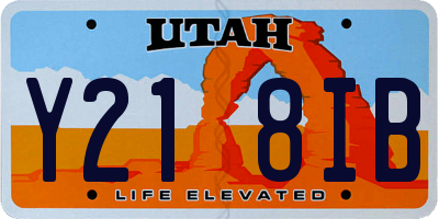 UT license plate Y218IB