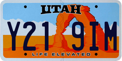 UT license plate Y219IM