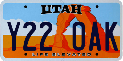UT license plate Y220AK