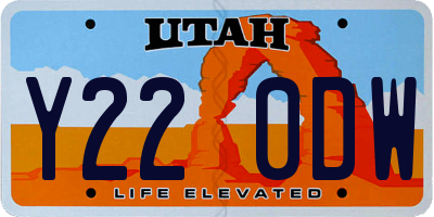 UT license plate Y220DW