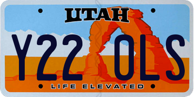 UT license plate Y220LS
