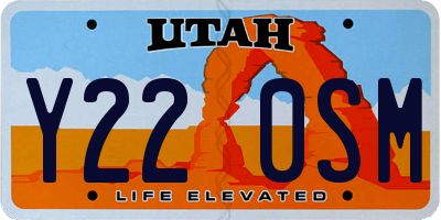 UT license plate Y220SM