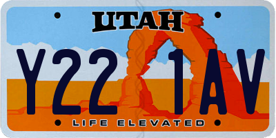 UT license plate Y221AV